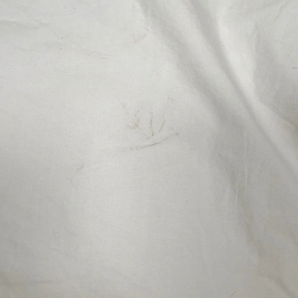 Pottery Barn Twin Duvet Cover White Green Dot Cotton 86x68
